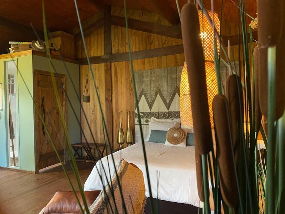 Pine Lodge - Direct Train To Porto Valongo  Kültér fotó