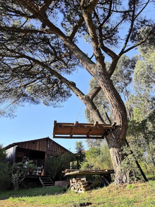 Pine Lodge - Direct Train To Porto Valongo  Kültér fotó