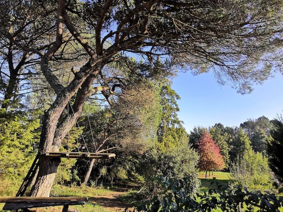 Pine Lodge - Direct Train To Porto Valongo  Kültér fotó